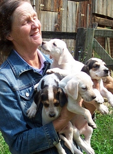 Photograph of Katherine with puppies July 9, 2006. Photograph by Carol Atwood