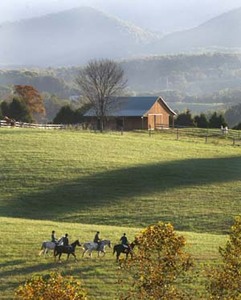 Photograph of riders on an Early Morning Hunt. Photograph by Nathan Beck, 2004 VHW
