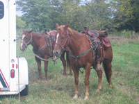 photo 08Oct1Broadview